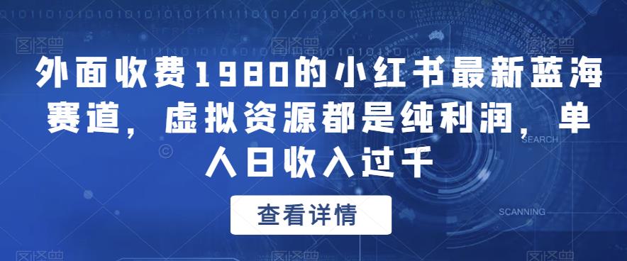 外面收费1980的小红书最新蓝海赛道,虚拟资源都是纯利润,单人日收入过千