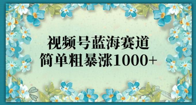 视频号蓝海赛道,简单粗暴涨1000+
