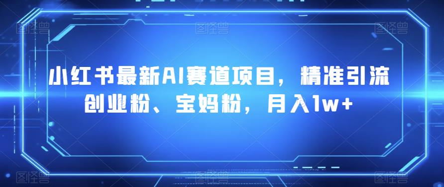 小红书最新AI赛道项目,精准引流创业粉、宝妈粉,月入1w+