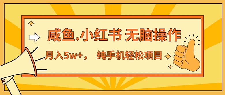 (11524期)2024最赚钱的项目,咸鱼,小红书无脑操作,每单利润500+,轻松月入5万+…