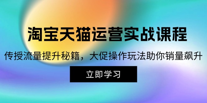 (12959期)淘宝&天猫运营实战课程,传授流量提升秘籍,大促操作玩法助你销量飙升