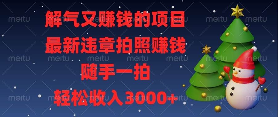 (13804期)解气又赚钱的项目,最新违章拍照赚钱,随手一拍,轻松收入3000+