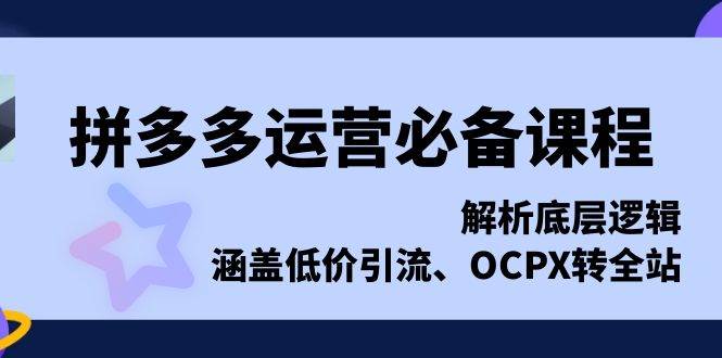 (13700期)拼多多运营必备课程,解析底层逻辑,涵盖低价引流、OCPX转全站