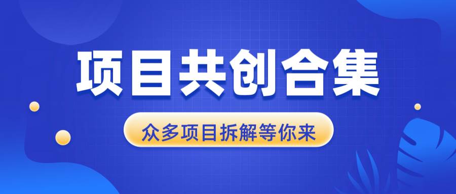 (13778期)项目共创合集,从0-1全过程拆解,让你迅速找到适合自已的项目