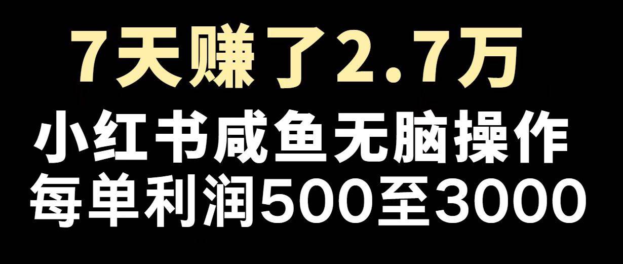 (14183期)最赚钱项目之一,2025爆火,逆风翻盘!