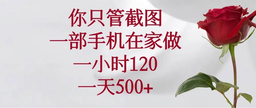 (14248期)你只管截图,一部手机在家做,一小时120,一天500+