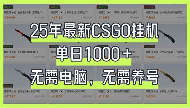 (14178期)25年最新CSGO挂机系统,单日1000+,无需电脑,无需养号,0基础可上手