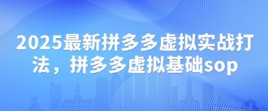 2025最新拼多多虚拟实战打法,拼多多虚拟基础sop